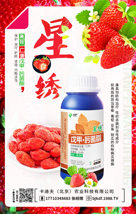 ����Ҫ��Ҫ��⣿����������_��֦�������