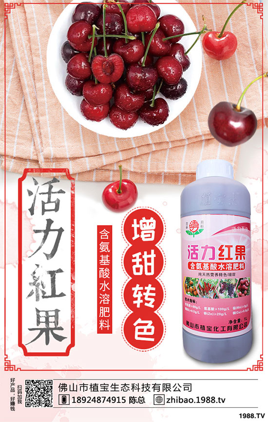 金銀花畝產(chǎn)量是多少?金銀花高產(chǎn)種植技術(shù)