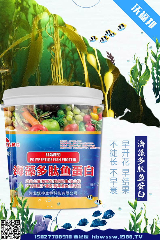     ���ӷNֲ��Ҫע����Щ���}�����ӵ�ˮ�ʹ���Ҫ�c��