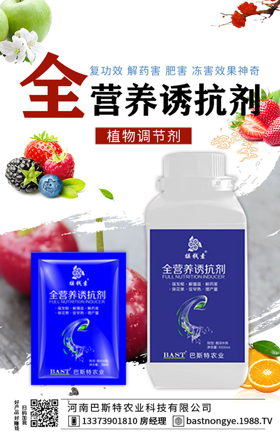 結(jié)球甘藍(lán)怎么施肥，結(jié)球甘藍(lán)的施肥技術(shù)！