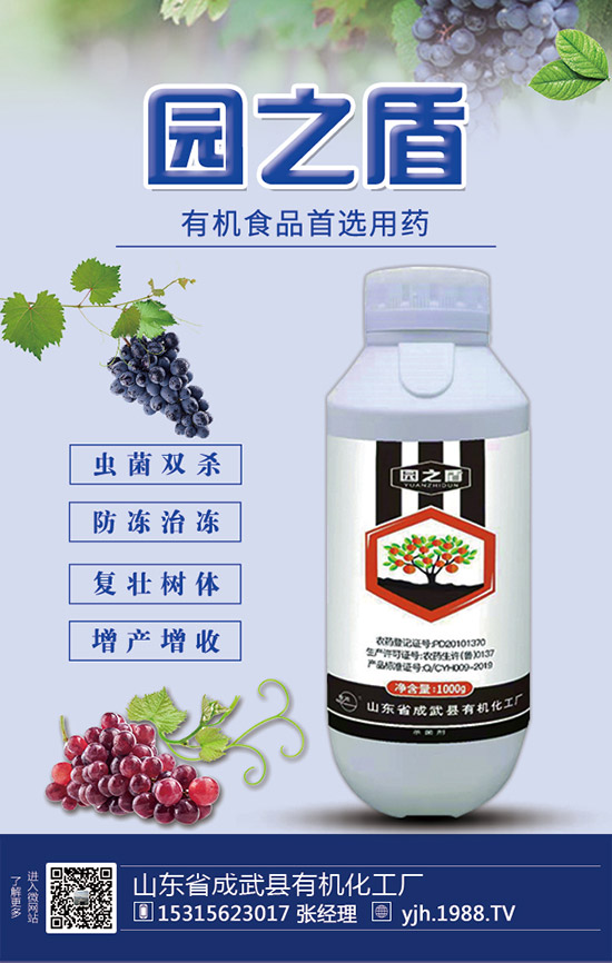 �����������������ʩ�ʼ��g(sh��)��Ҫ�c(di��n)��