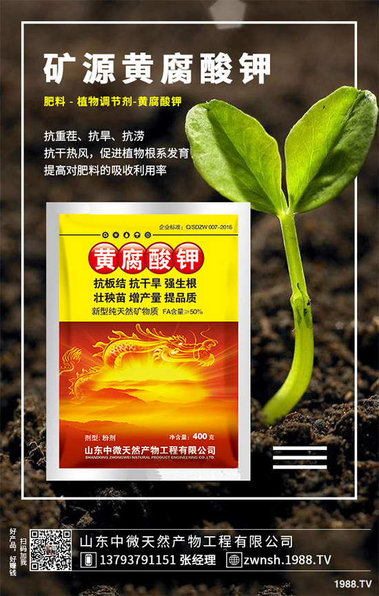 ������ԓ��η�ֳ�������ǵķ�ֳ���g�������