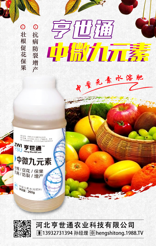 �ӱ�����ͨ�r�I(y��)�Ƽ����޹�˾