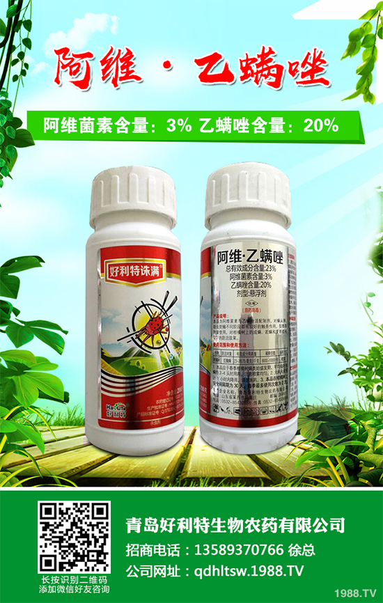 卷心菜能在陽臺上種植中嗎?卷心菜家庭種植技術(shù)要點(diǎn)