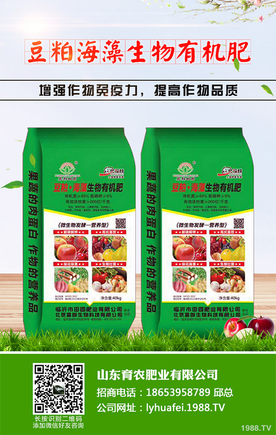 ��z�ʾ�ԓ��������������������z�ʾո߮a(ch��n)�������