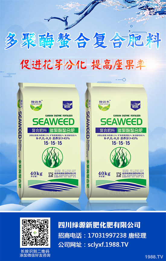 ���տ�ʲô�r�򲥷N��ԓ��ι������߮a���տ��߮a�Nֲ�������g