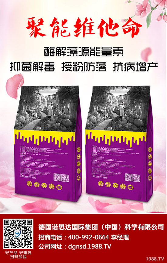 �ܱ��Ϲ���ô�Nֲ���ܱ��Ϲϵ����༼�g(sh��)Ҫ�c(di��n)�c������