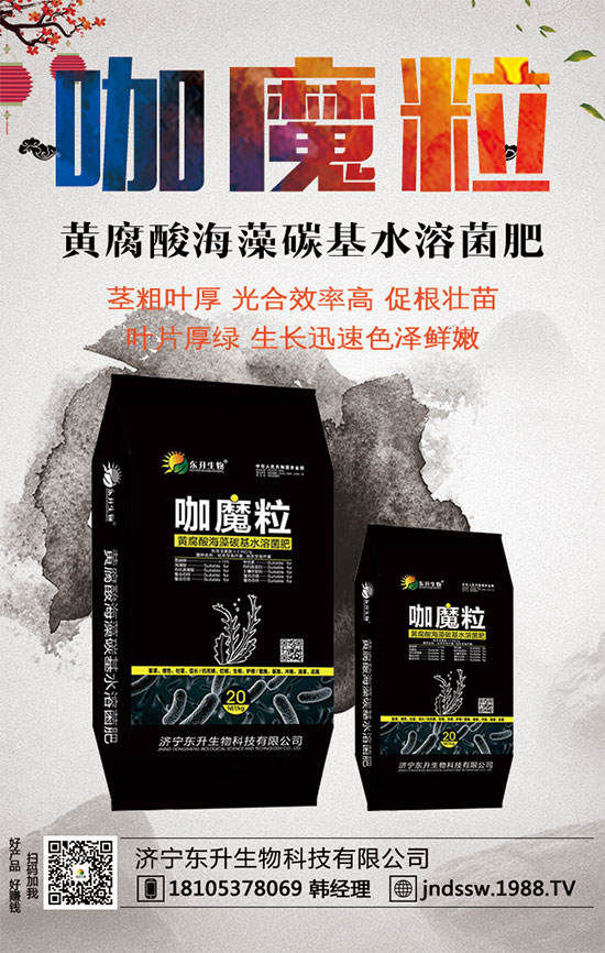 С����ʲô�g�Nֲ�r(sh��)��С���۷Nֲ����Ҫ�c(di��n)��