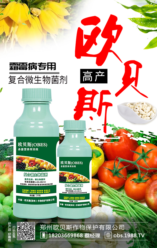 ���ݚWؐ˹���ﱣ�o���޹�˾