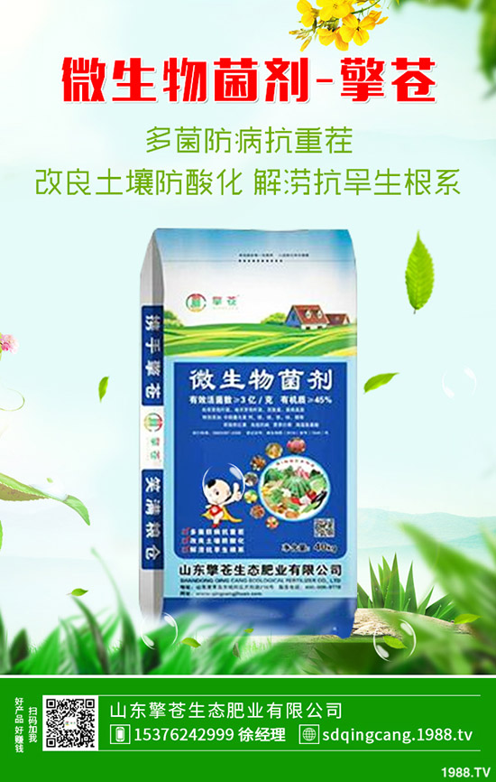 2020年4月3日復合肥市場行情保持穩(wěn)定態(tài)勢!最新后市預測!