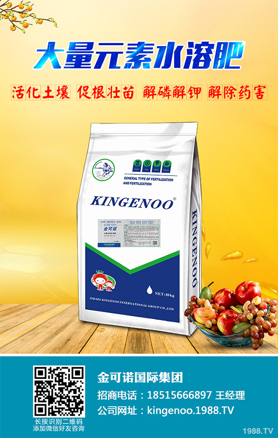 種植油茶能掙錢嗎？2020年油茶樹種植前景及效益分析