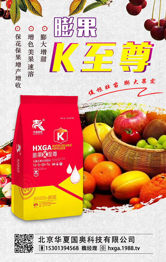 ��ޱ�辰��ηNֲ����ޱ�辰�ķNֲ������ע�������