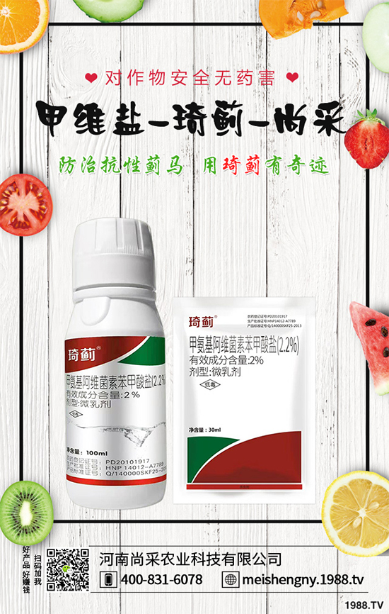 ���ѾGä��Σ�����������ѾGä���İl(f��)�����c�c������