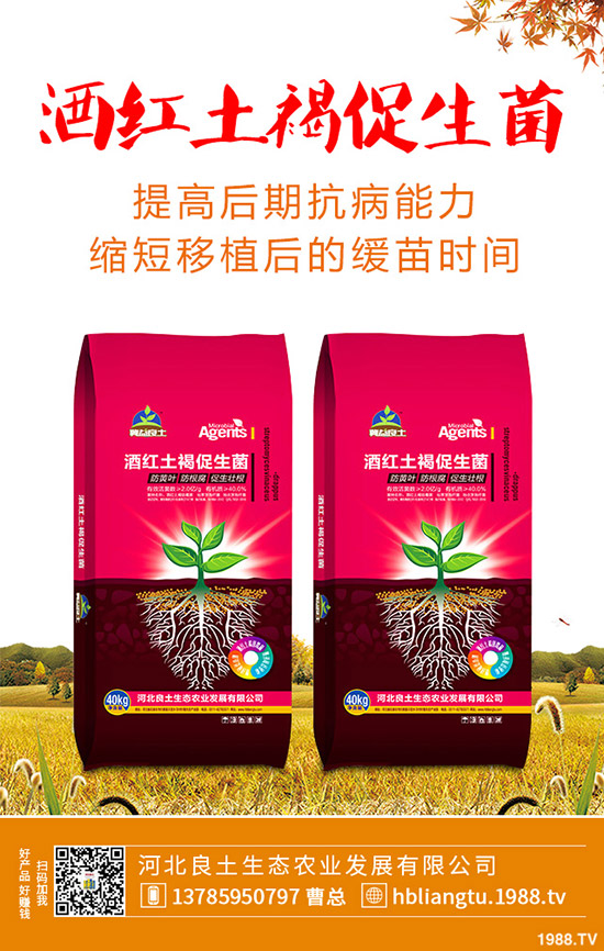 �{��ʲô�r(sh��)��Nֲ�^�����{�˵ķNֲ���g(sh��)�c���g����