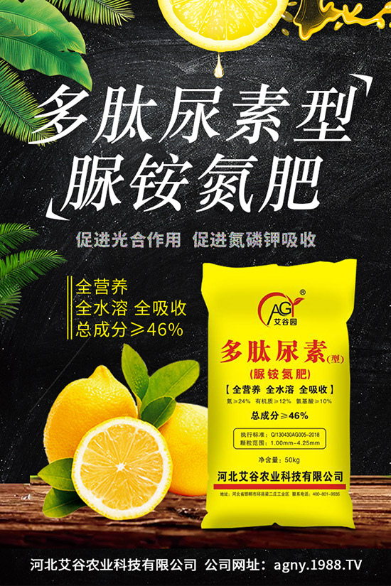 �ļ����NֲҪ�c(di��n)���ļ������缼�g(sh��)�����ڹ���