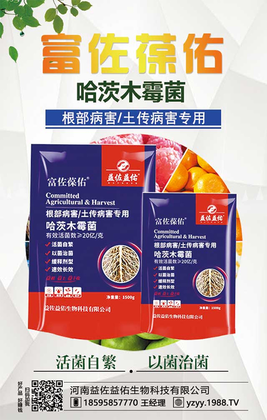 芋頭都有什么營(yíng)養(yǎng)價(jià)值？吃芋頭有什么好處？