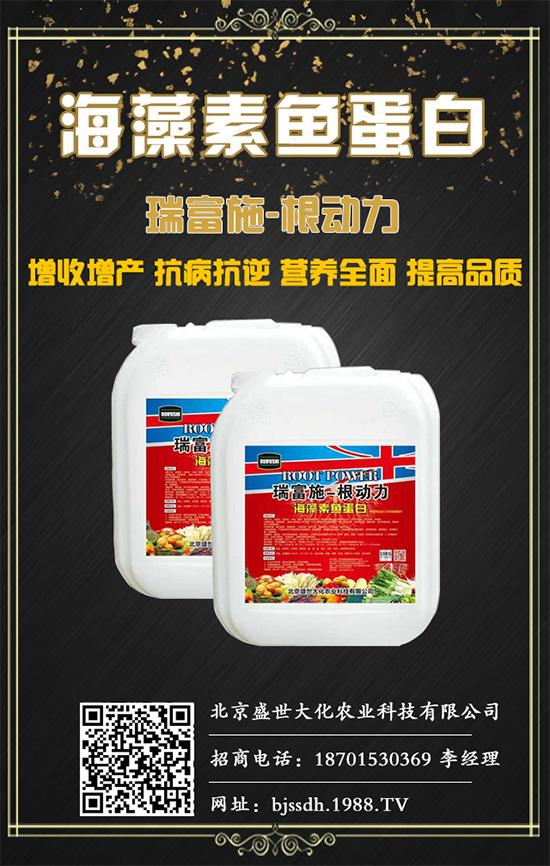 ľ�϶�Y(ji��)����ʲô��ʩ��ľ�ϳ�Ҋ(ji��n)���������δ�ʩ��