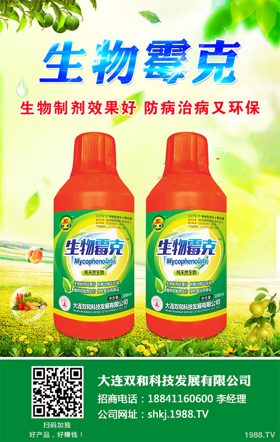 春胡蘿卜什么時候種植?如何種植才能高產呢?