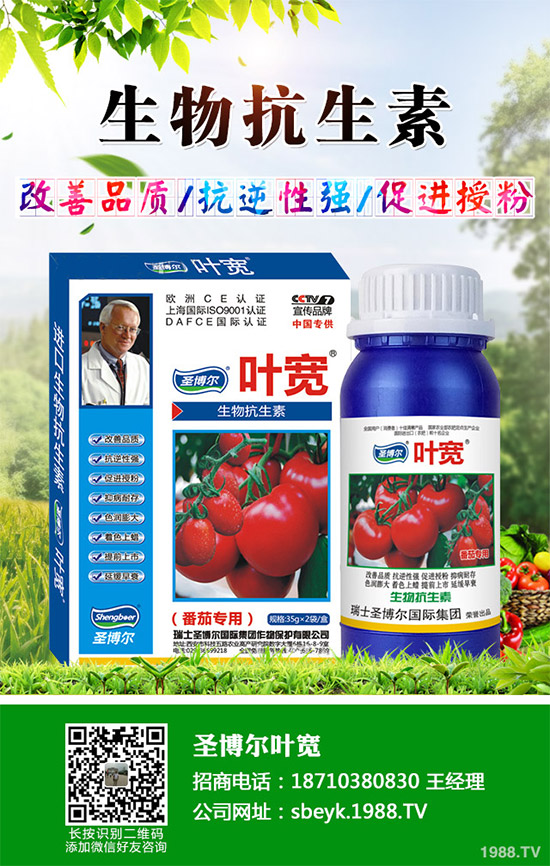 ���ﱡƤ���ԓ�����������Ƥ��ϸ߮a(ch��n)���༼�g(sh��)