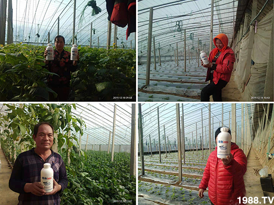 ɵ�~�~�^�}-ɵ�~�~��-���S