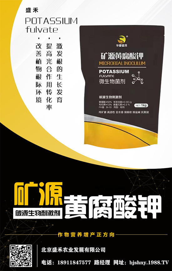     ����⛷�(w��n)���\(y��n)����2020.05.16⛷ʃr(ji��)�������߄�(sh��)������