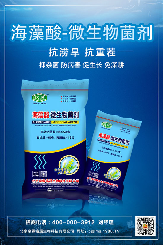 黃瓜的中后期管理技術,黃瓜后期肥水怎么管理?