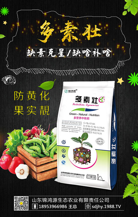 ���������緽������Щ������������Ҫ�c�����ڹ�����