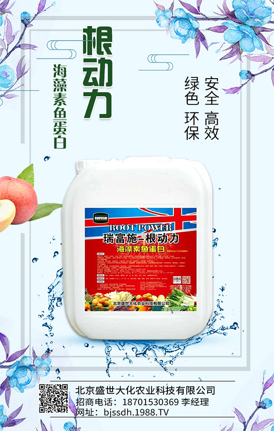 �Ә���ô���綨ֲ��������������M�м޽���