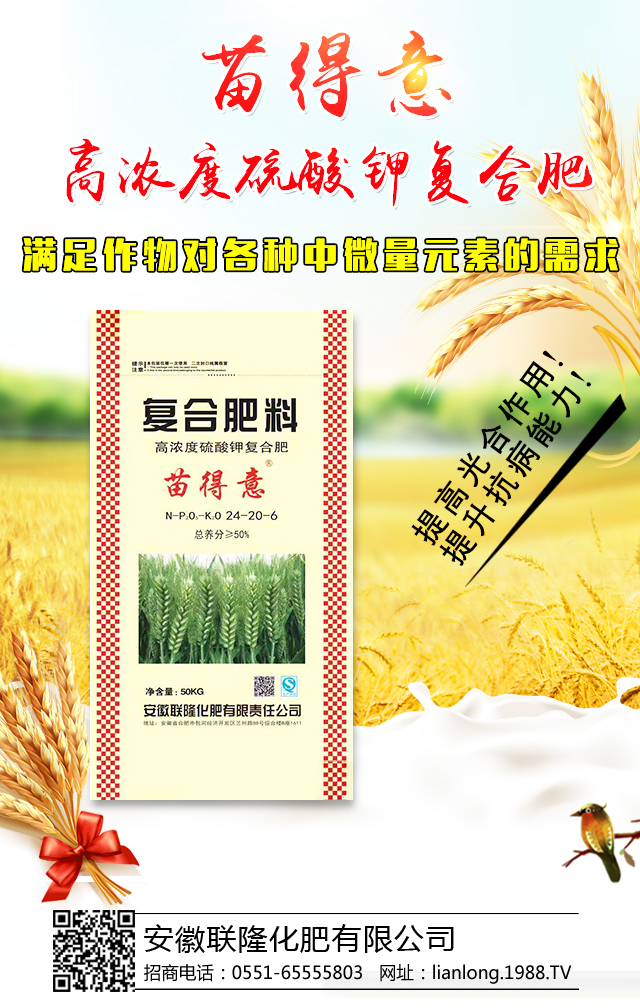 ����¡�������޹�˾