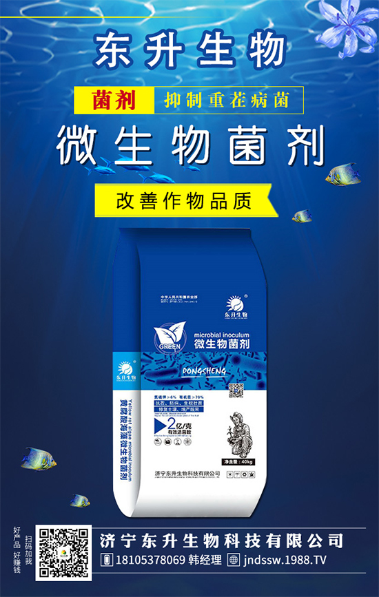 ���ƵĻ��Z��ʲô��ˮ����Ƶĵ��B(y��ng)�o������