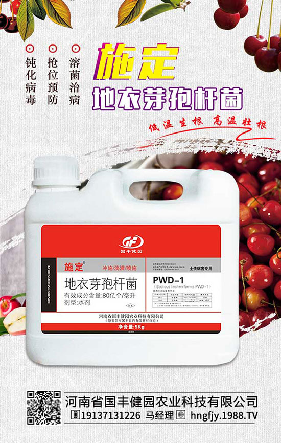 ԭ��(chu��ng)