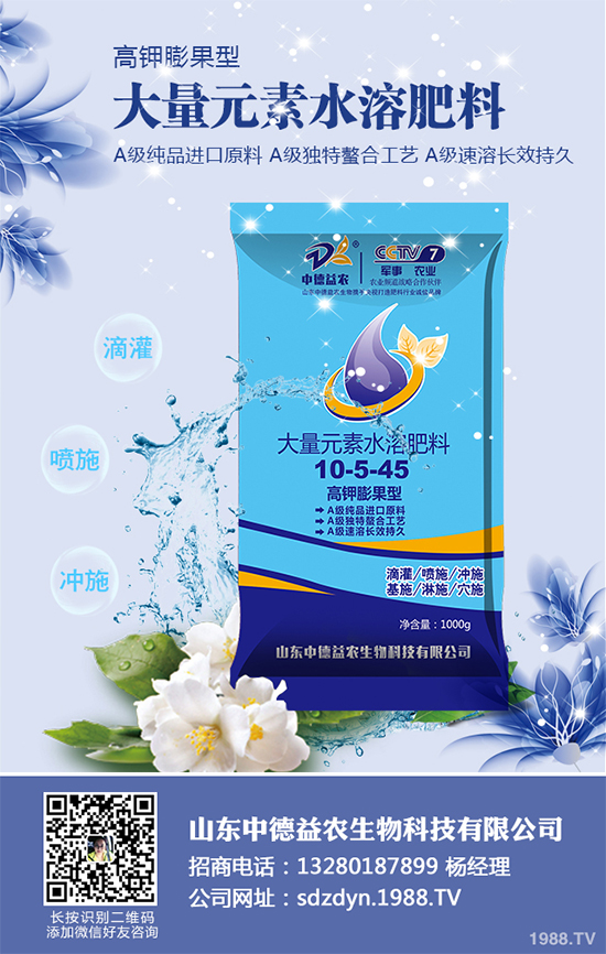 ���؅^(q��)�����������S��(b��o)�r