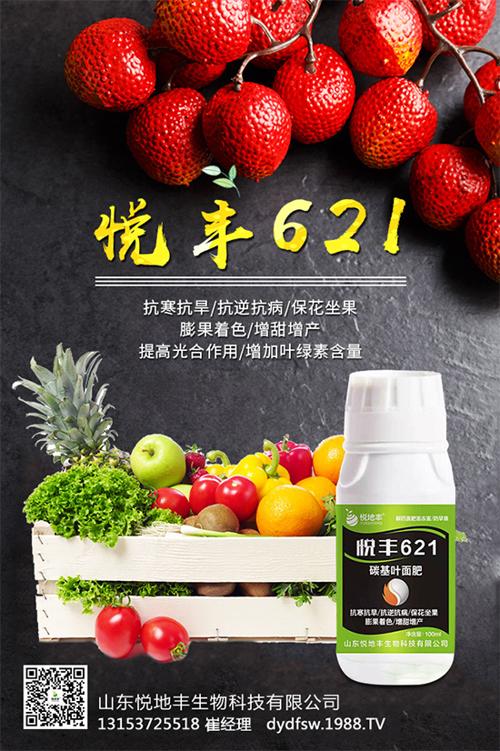 �t����֪��ԓ�����������