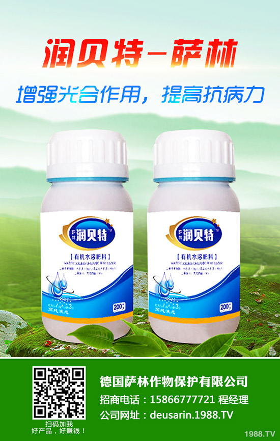 ��ۘ���ô�B(y��ng)����ۘ���B(y��ng)ֳ������ע�����(xi��ng)