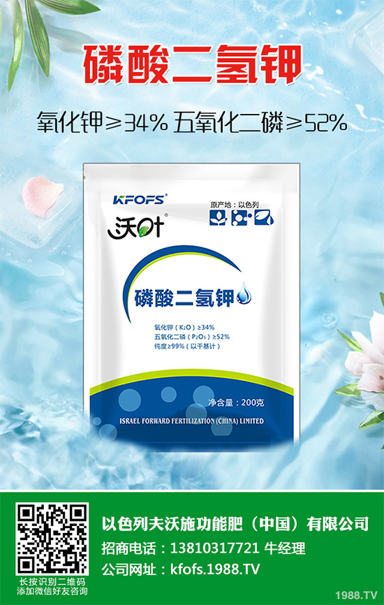 �����������S��(b��o)�r