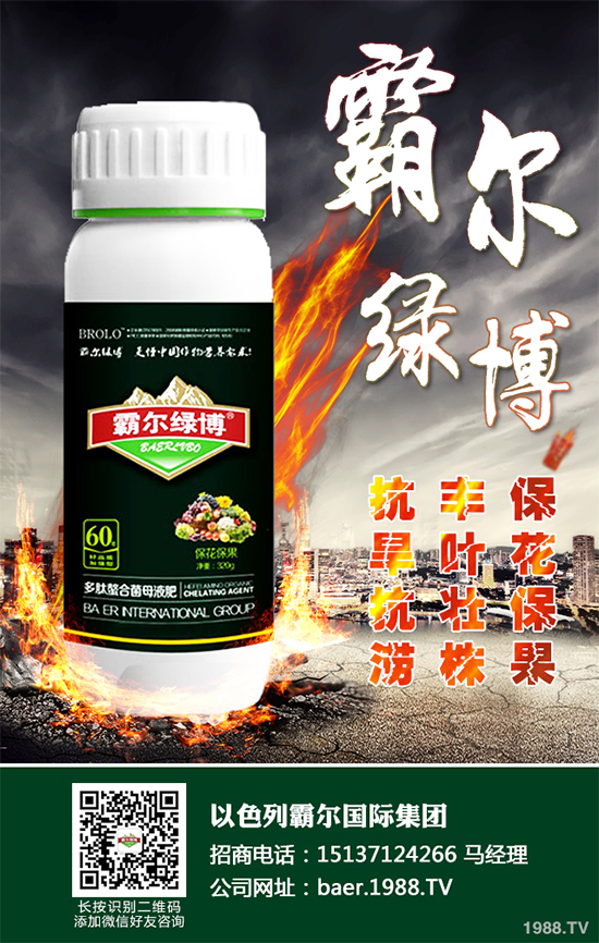 ������ʲô�r�򲥷N��2020���������粥�����ă�(y��u)ȱ�c(di��n)����