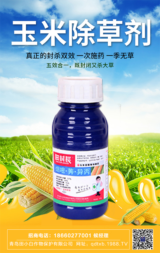 ���׷N�Ӱ�N��ʲô�������������ڹ���Ҫ�c(di��n)��