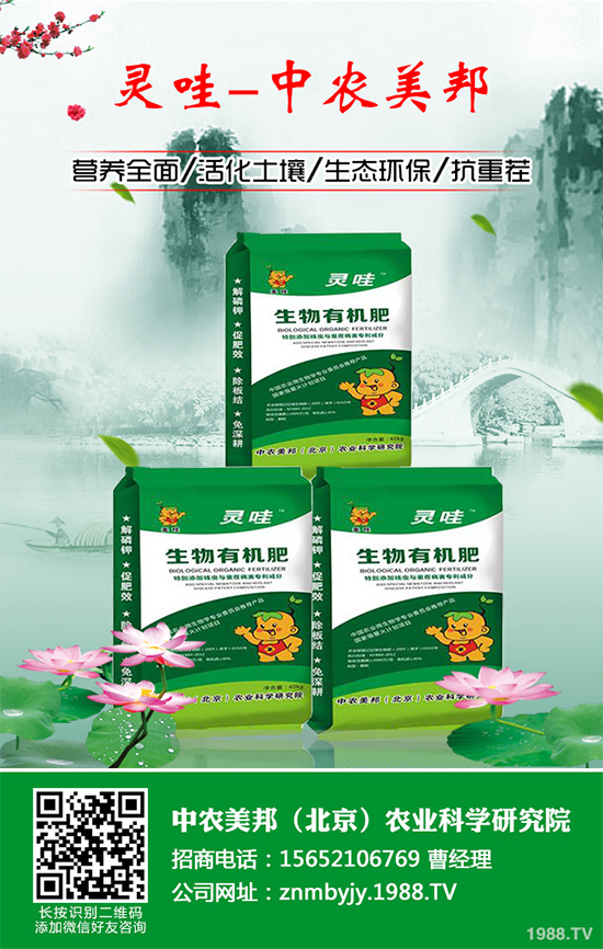 ���᳣Ҋ��������Щ��ԓ����A�������Ს���İl(f��)���c���Σ�