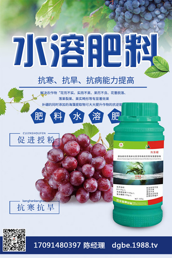 �����������S��(b��o)�r