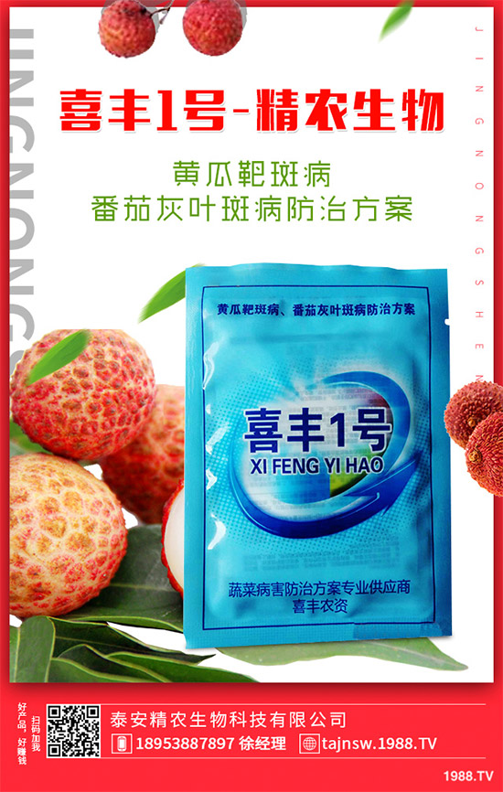 廣金錢草種植需要哪些條件?廣金錢草扦插育苗要點(diǎn)!