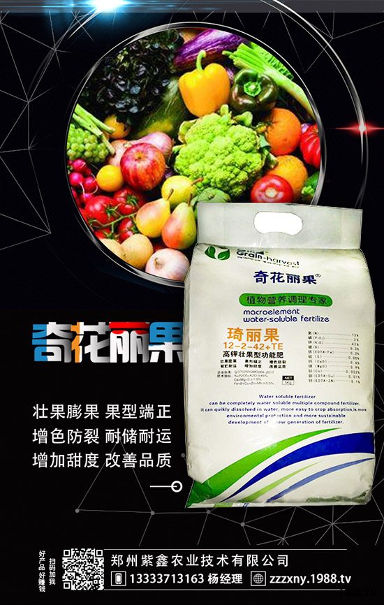 ��ݮĸ�綨ֲ������ʩ�ʣ����ӝ�ˮ��