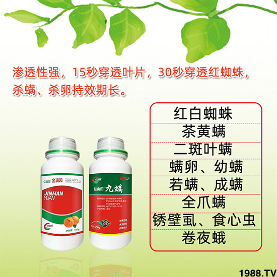 ��M�@+����-�|����