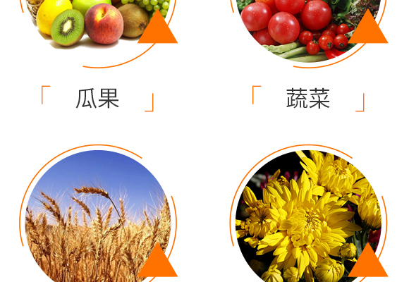 ΢�����������ľù-ֹ���b-�Z��_10