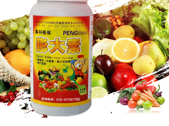 �����-�ο�ֲ��_02