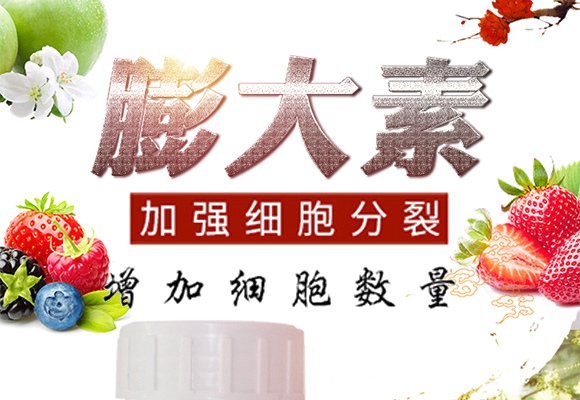 �����-�ο�ֲ��_01