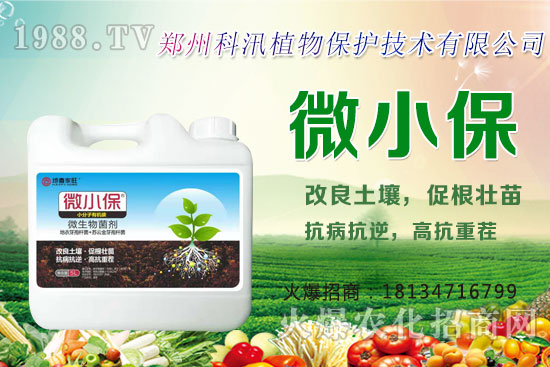 ����Ĺ�Ч�c���ã������c�����Ă�(g��)���РI�B(y��ng)��