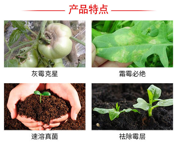 ���w˪�^-��(qi��ng)�r(n��ng)����_04