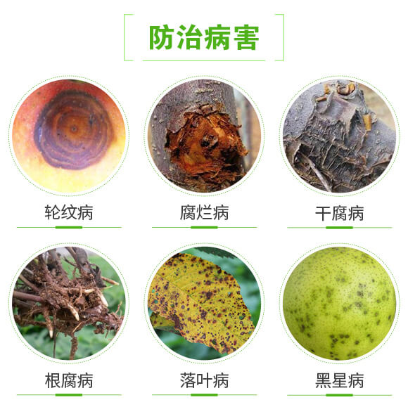 ��������M��-�����-�����r(n��ng)��_04