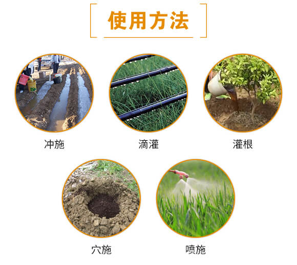 黑金-日正農(nóng)業(yè)_06