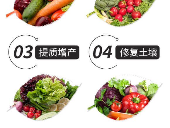 �Y����ֲ���-����һ̖-��ɫ���B(t��i)_05